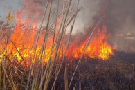 На Київщині оголосили надзвичайну пожежн…