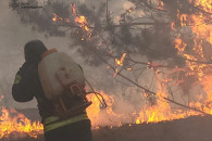 На Харьковщине – масштабный лесной пожар…