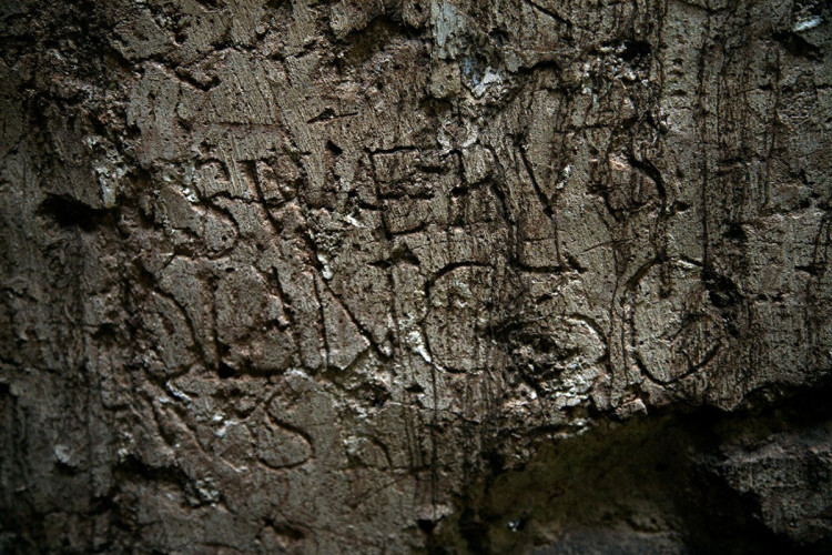 приклад графіті Язловця