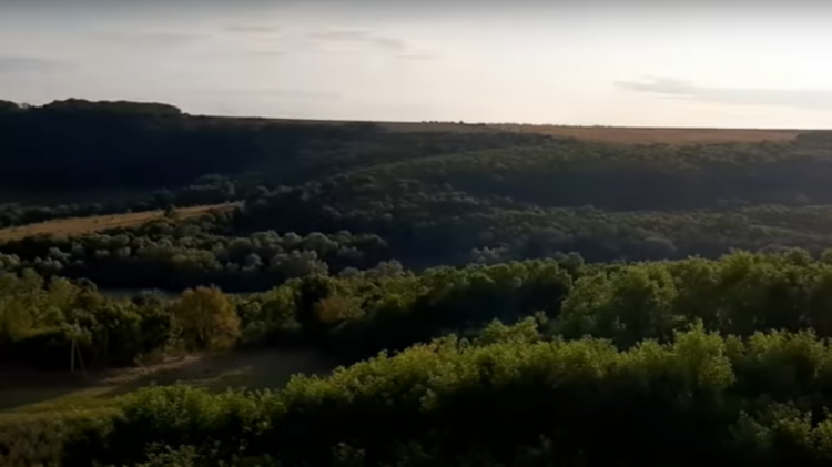 Марусин камінь