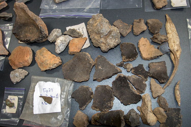 Знахідки з археологічних розкопок в Городку