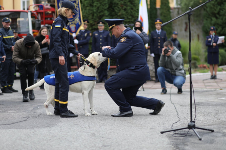 Тернополь, пес-спасатель Бим уходит на пенсию