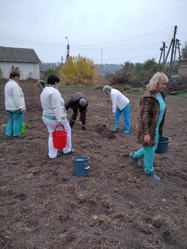Хмельниччина, акція Створюємо ліси разом