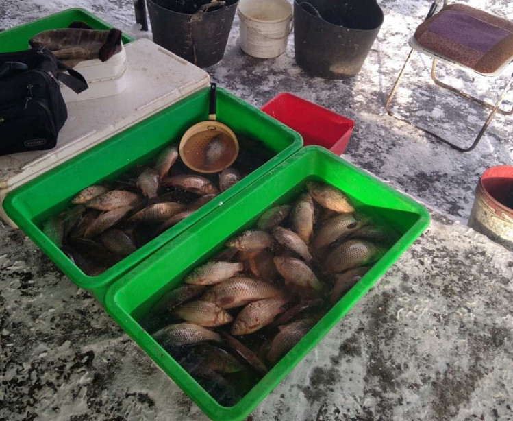 Піймали торгівців нелегальною рибою