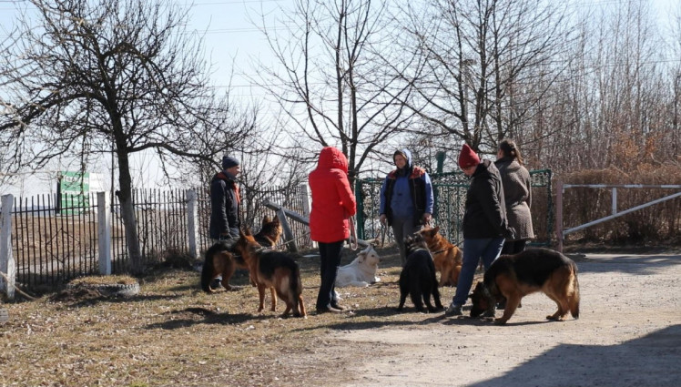 військовий державний шпиталь ветеринарної медицини